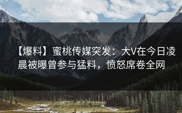 【爆料】蜜桃传媒突发：大V在今日凌晨被曝曾参与猛料，愤怒席卷全网