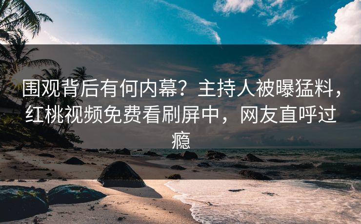 围观背后有何内幕？主持人被曝猛料，红桃视频免费看刷屏中，网友直呼过瘾