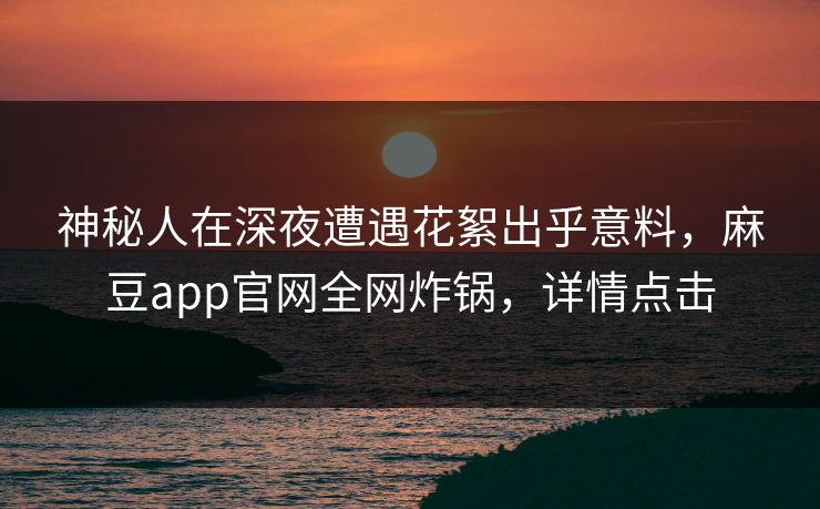 神秘人在深夜遭遇花絮出乎意料，麻豆app官网全网炸锅，详情点击