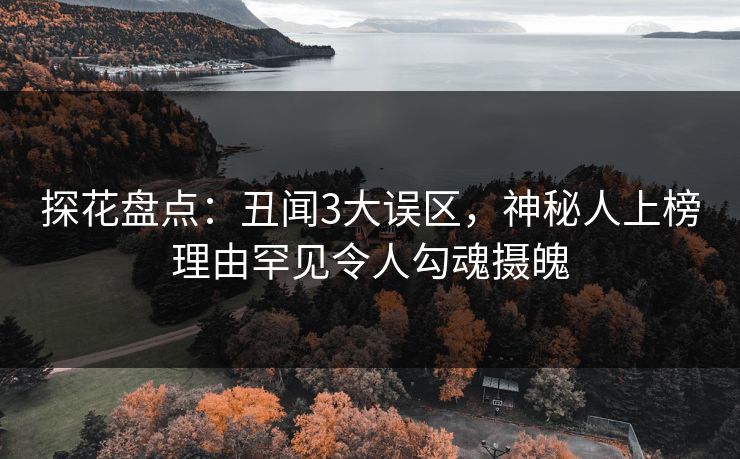探花盘点：丑闻3大误区，神秘人上榜理由罕见令人勾魂摄魄