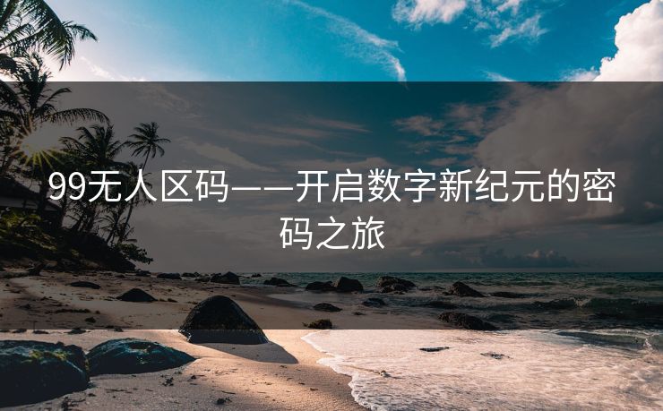 99无人区码——开启数字新纪元的密码之旅