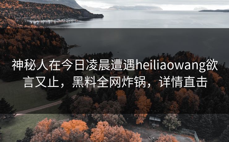神秘人在今日凌晨遭遇heiliaowang欲言又止，黑料全网炸锅，详情直击